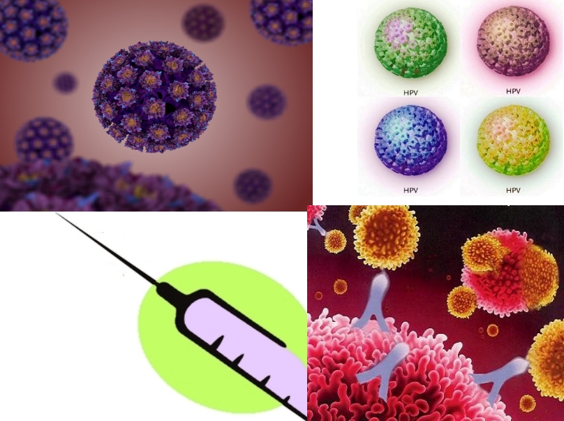 You are currently viewing Condiloma acuminado (HPV) – Vacina