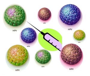 Read more about the article Vacina contra o HPV